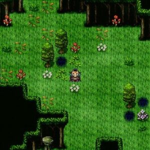 The Book of Legends Steam CD Key