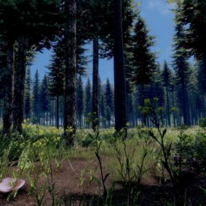 Medieval Engineers EU Steam CD Key