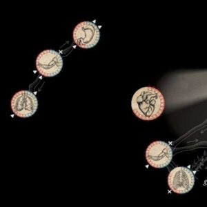 Prophour23 Steam CD Key