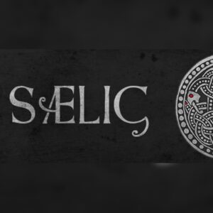 SAELIG EU Steam Altergift