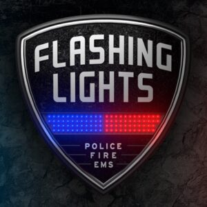 Flashing Lights - Police Fire EMS EU Steam CD Key