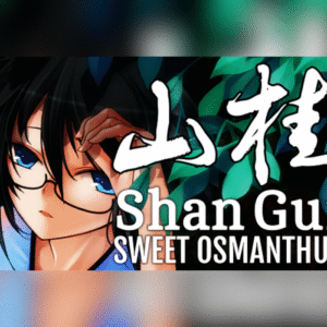 Shan Gui PC Steam CD Key