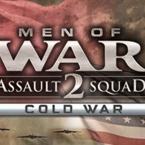 Men of War: Assault Squad 2 - Cold War EU PC Steam CD Key
