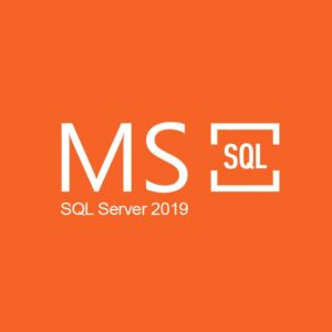 MS SQL Server 2019 CD Key