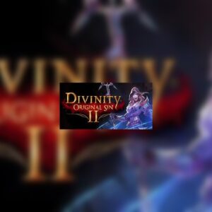 Divinity: Original Sin 2 Eternal Edition EU Steam Altergift