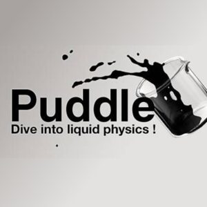 Puddle EU Steam CD Key