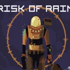 Risk of Rain PC Steam CD Key