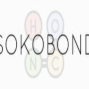 Sokobond PC Steam CD Key