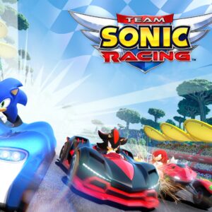 Team Sonic Racing EU Nintendo Switch CD Key