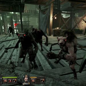 Warhammer: End Times - Vermintide Collector's Edition EU Steam CD Key