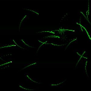 Borealis Steam CD Key