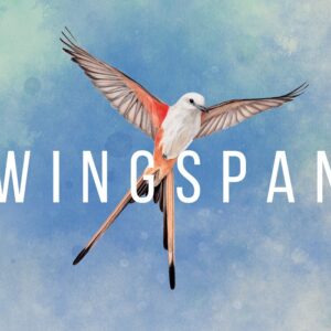 Wingspan EU Steam CD Key